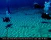 SSSDivers0810-17.jpg